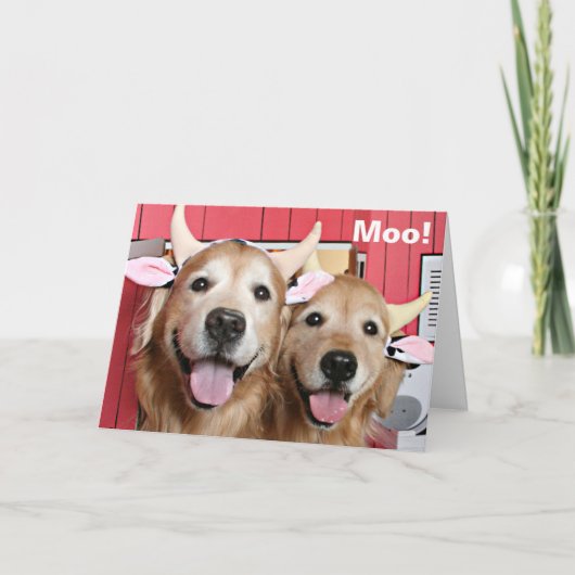 Funny Golden Retrievers in Costumes Halloween Karte (Vorderseite)