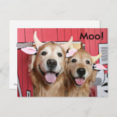 Funny Golden Retrievers in Costumes Halloween Postkarte (Vorne/Hinten)
