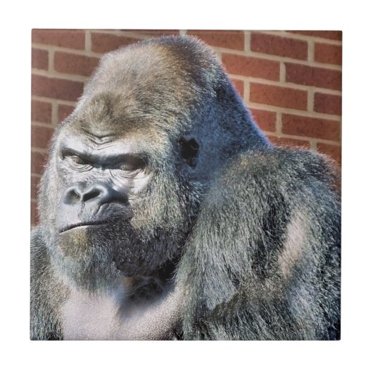 FUNNY GORILLA FLIESE (Vorderseite)