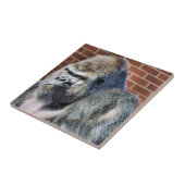 FUNNY GORILLA FLIESE (Seite)