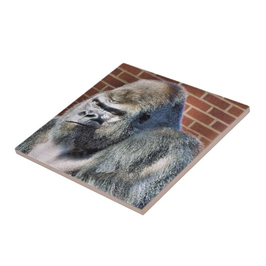 FUNNY GORILLA FLIESE (Seite)