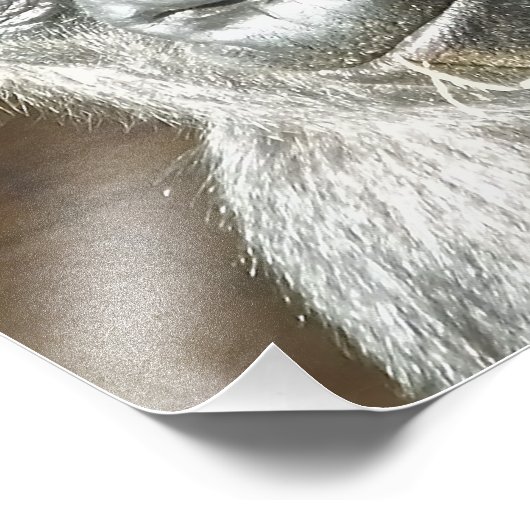 FUNNY GORILLA FOTODRUCK (Ecke)