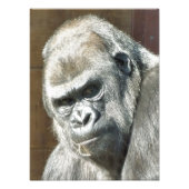 FUNNY GORILLA FOTODRUCK (Vorne)
