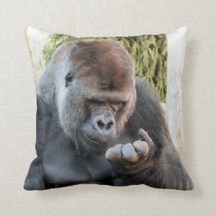 FUNNY GORILLA KISSEN