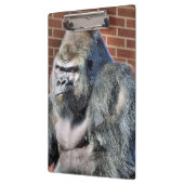 FUNNY GORILLA KLEMMBRETT (Links)