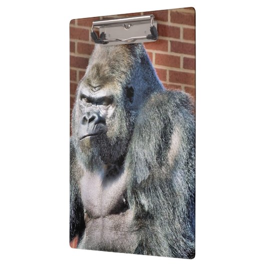 FUNNY GORILLA KLEMMBRETT (Links)