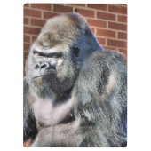 FUNNY GORILLA KLEMMBRETT (Rückseite)