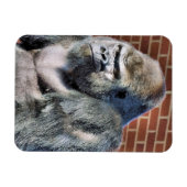 FUNNY GORILLA MAGNET (Horizontal)