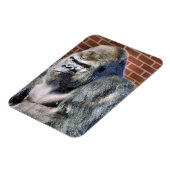 FUNNY GORILLA MAGNET (Linke Seite)