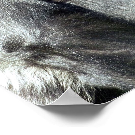 FUNNY GORILLA POSTER (Ecke)