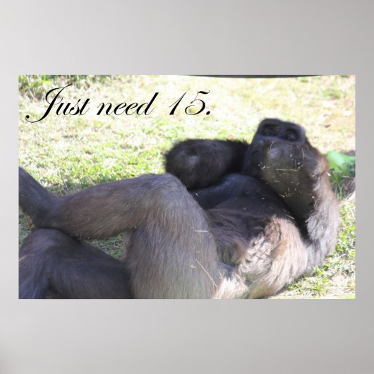 Funny Gorilla Poster (Vorne)