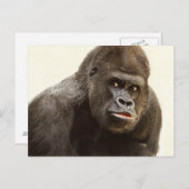 Funny Gorilla Postkarte (Vorne/Hinten)
