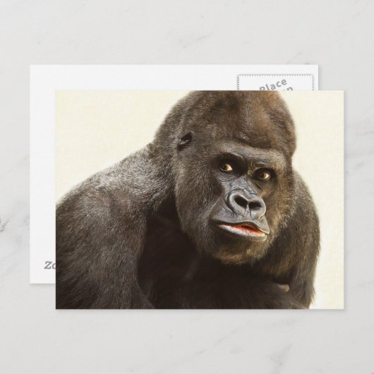Funny Gorilla Postkarte (Vorne/Hinten)