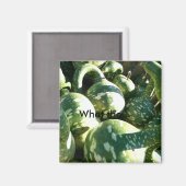 Funny Gourds/ What the..Quote Magnet (Vorderseite/Rückseite)