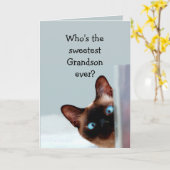 Funny Grandson Birthday wünscht Siamese Cat Karte (Gelbe Blume)