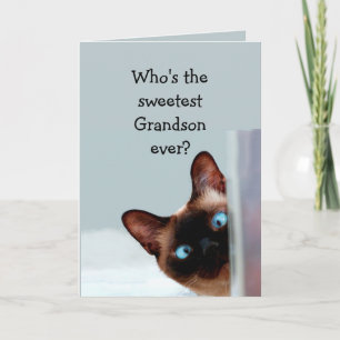 Funny Grandson Birthday wünscht Siamese Cat Karte