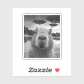 Funny Graphic Capybara Selfie mit UFOs Selfie Aufkleber (Blatt)