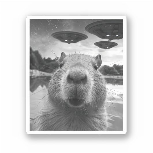 Funny Graphic Capybara Selfie mit UFOs Selfie Aufkleber (Vorderseite)