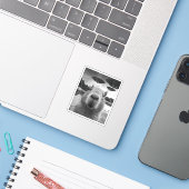 Funny Graphic Capybara Selfie mit UFOs Selfie Aufkleber (Laptop mit iPhone)
