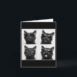Funny Graphic Cat Fotobooth Selfie Funny _5 Karte<br><div class="desc">Funny Graphic Cat Fotobooth Selfie Funny _5</div>
