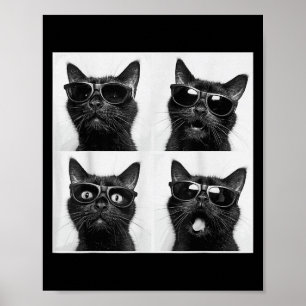 Funny Graphic Cat Fotobooth Selfie Funny _5 Poster