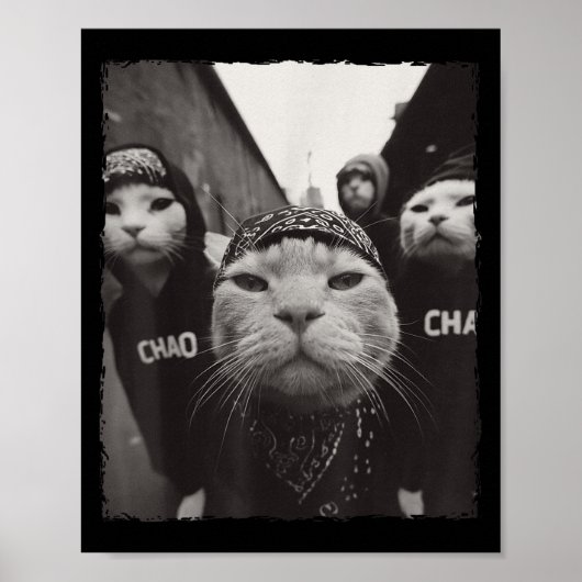 Funny Graphic Cat Gangster Funny Poster (Vorne)