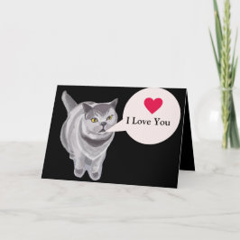 Funny gray fat cat Valentine's Card Karte