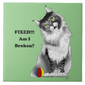 Funny Gray Maine Coon Cat repariert Fliese (Vorderseite)