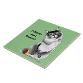 Funny Gray Maine Coon Cat repariert Fliese (Seite)