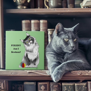 Funny Gray Maine Coon Cat repariert Fliese