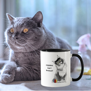 Funny Gray Maine Coon Cat repariert Tasse