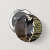Funny Gray Mare Button (Vorne & Hinten)
