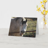 Funny Gray Mare Karte (Gelbe Blume)