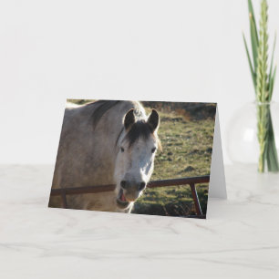 Funny Gray Mare Karte