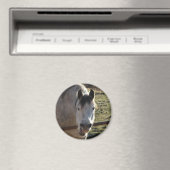 Funny Gray Mare Magnet (In Situ (Geschirrspüler))