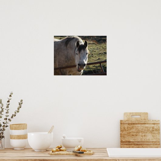 Funny Gray Mare Poster (Küche)