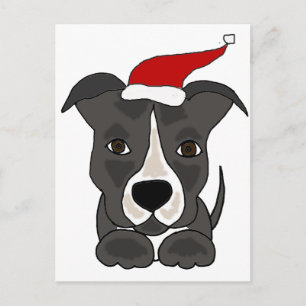 Funny Gray Pitbull in Weihnachtsmannmütze Weihnach Feiertagspostkarte