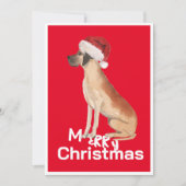 Funny Great Dane Hund Weihnachtsfeiertag Weihnacht (Vorderseite)