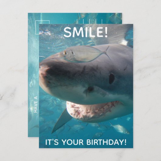 Funny Great White Shark Geburtstag Postkarte (Vorne/Hinten)