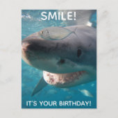 Funny Great White Shark Geburtstag Postkarte (Vorderseite)