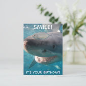 Funny Great White Shark Geburtstag Postkarte (Stehend Vorderseite)