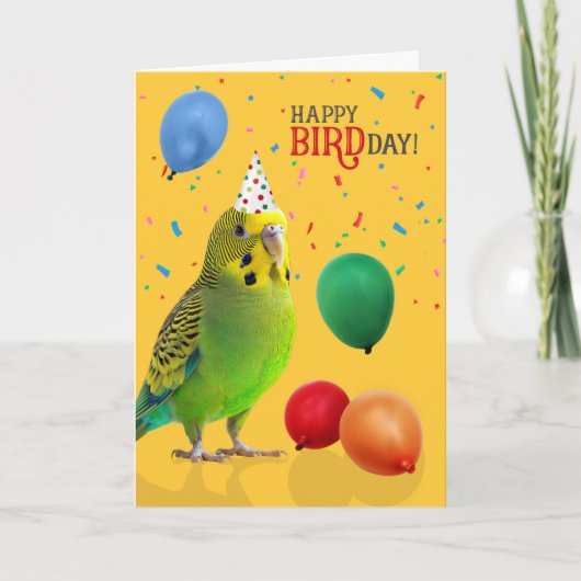 Funny Green and Yellow Budgie Parakeet Birthday Karte (Vorderseite)