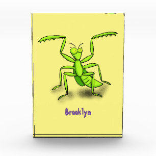 Funny green beten mantis Cartoon Illustration Fotoblock