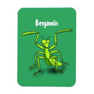Funny green beten mantis Cartoon Illustration Magnet