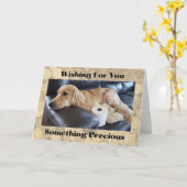 Funny Greeting Card Hund mit Wertvollem Toilettenp Karte (Gelbe Blume)