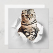 Funny Grey Cat Popping Through Torn Paper Illusion (Vorne/Hinten)