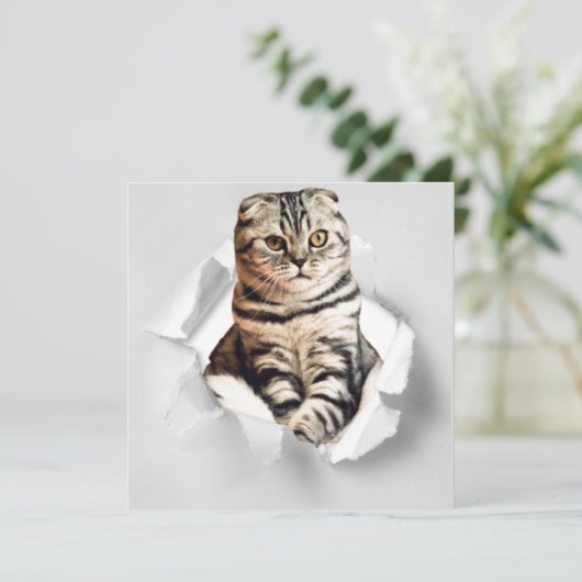Funny Grey Cat Popping Through Torn Paper Illusion (Stehend Vorderseite)