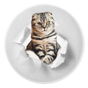 Funny Grey Cat Popping Through Torn Paper Illusion Keramikknauf