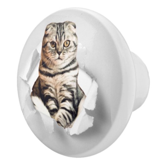 Funny Grey Cat Popping Through Torn Paper Illusion Keramikknauf (Rechts)