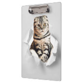 Funny Grey Cat Popping Through Torn Paper Illusion Klemmbrett (Links)